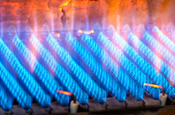 Earnock gas fired boilers